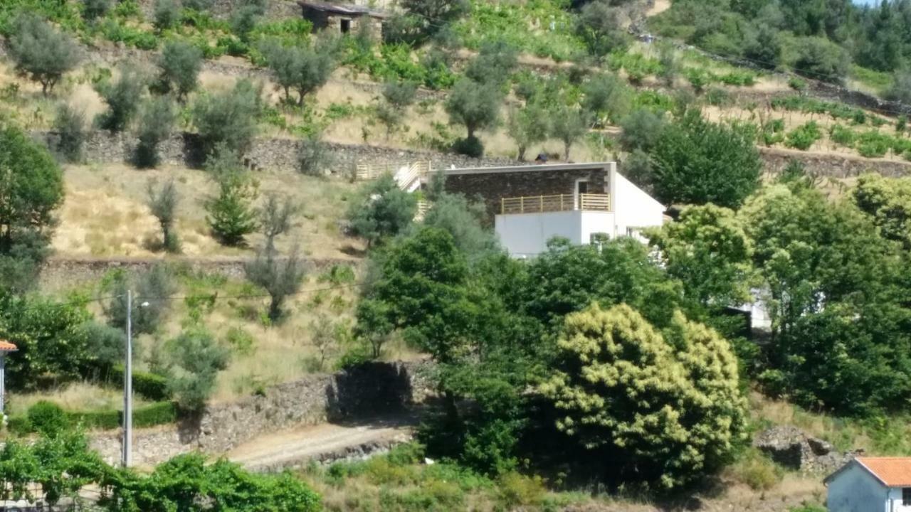 Casa Das Oliveiras - 曼泰加什 外观 照片